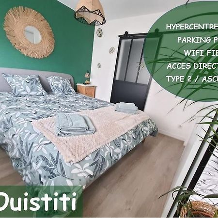 Le Ouistiti - 50 M De La Gare - Parking Prive Daire Tours Dış mekan fotoğraf